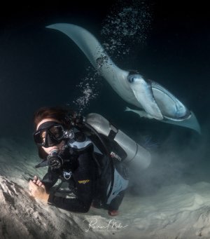 Eine Taucherin begegnet einem großen Riffmanta am Meeresgrund bei einem Nachttauchgang.