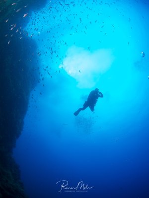 Ein Taucher schwebt im tiefblauen Wasser und blickt zur Wasseroberfläche empor, die hell erleuchtet ist. Links im Bild ist eine dunkle Riffwand zu erkennen, umgeben von einem Schwarm kleiner Fische, die sich in der Strömung bewegen.