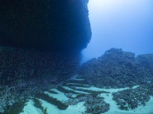 Stufenförmige Strukturen neben einer Felswand, die mit Seegras bewachsen sind. Diese Szene ist unterhalb des Double Arch auf Gozo abgelichtet worden