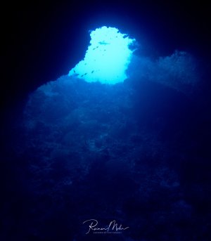 Blick aus einer Unterwasserhöhle nach oben zum Höhlenausgang, durch den strahlend blaues Licht eindringt. Die dramatische Lichtstimmung zeigt den Kontrast zwischen der dunklen Höhle und dem hellen Freiwasser, wobei kleine Partikel im Lichtkegel sichtbar sind.