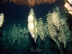 Beeindruckende Stalaktiten hängen von der Decke einer überfluteten Höhle herab und spiegeln sich im kristallklaren Wasser. Die geologischen Formationen zeigen die charakteristischen Kalksteinstrukturen Der Chandellier Cave mit dramatischer Lichtbrechung.