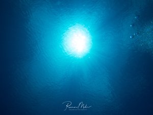 Blick aus der Tiefe zur Wasseroberfläche mit strahlendem Sonnenlicht, das durch das kristallblaue Wasser dringt. Rechts im Bild sind kleine Luftblasen zu erkennen, die zur Oberfläche aufsteigen und die Unterwasserperspektive verdeutlichen.