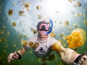 Ein Schnorchler schwimmt inmitten eines spektakulären Schwarms von Goldenen Quallen durch das türkisblaue Wasser. Die harmlosen Quallen umgeben ihn in großer Zahl, während das Sonnenlicht von der Oberfläche durch das Wasser filtert und eine magische Unterwasserszenerie schafft.