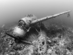 Ein historisches Flugzeugwrack liegt auf dem Meeresgrund, vermutlich aus dem Zweiten Weltkrieg. Das Wrack ist stark mit Korallen und Meeresorganismen bewachsen und zeigt deutliche Zeichen der Korrosion und des Zerfalls über die Jahrzehnte.