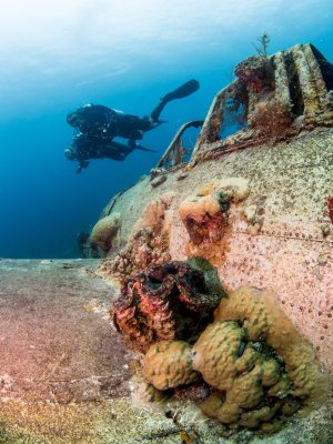 Taucher schwebt über einem versunkenen japanischen Flugzeugwrack aus dem 2. Weltkrieg. Riesenmuschel und Korallen besiedeln das Wrack. Weitwinkelaufnahme.