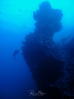 Ein imposante Korallenturm ragt aus der Tiefe empor. Links im Bild ist ein Taucher zu sehen, der die beeindruckende Größe des Turms verdeutlicht.