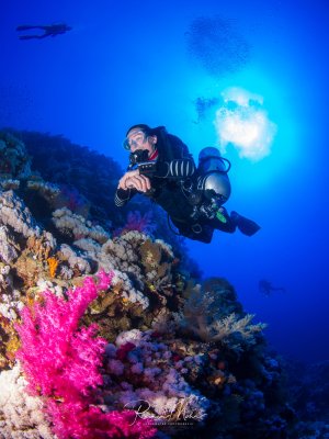 Ein Taucher schwebt über einem farbenprächtigen Korallenriff mit leuchtend pinken Weichkorallen im Vordergrund. Das intensive Blau des Wassers und die Sonnenstrahlen im Hintergrund schaffen eine dramatische Unterwasserszene, während im oberen Bildbereich ein weiterer Taucher zu erkennen ist.