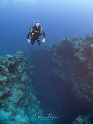 Ein Taucher schwebt über einer dramatischen Unterwasserschlucht oder einem Canyon zwischen Korallenwänden. Die Szene zeigt die beeindruckende Topographie des Riffs mit steilen, bewachsenen Korallenwänden und dem tiefen blauen Wasser darüber.