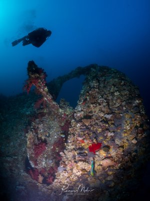 Ein dicht mit Hart- und Weichkorallen bewachsenes Wrackstück bildet ein farbenfrohes künstliches Riff. Ein Taucher schwebt darüber im blauen Wasser.