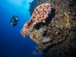 Ein Taucher erkundet den mit bunten Korallen und Schwämmen überwachsenen Anker des SS Thistlegorm Schiffswracks. Die Metallstrukturen sind völlig von marinem Bewuchs bedeckt, der dem Wrack neue Farben in Rosa, Orange und Rot verleiht.