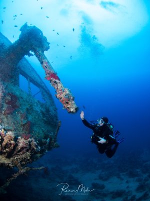 Ein Taucher erkundet die FLAK des Schiffswracks SS Thistlegorm in tiefem blauen Wasser. Die Metallstruktur ist dicht mit Korallen, Schwämmen und anderen Meeresorganismen überzogen, während kleine Riffische um das Wrack schwimmen.