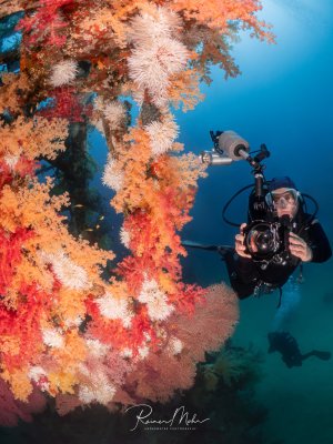 Ein Taucher fotografiert eine üppig mit roten und orangefarbenen Weichkorallen (Dendronephthya) bewachsene Wracksrtuktur im Roten Meer. Die Vielfalt der Farben ist beeindruckend.