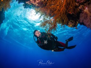 Ein Taucher schwimmt durch eine spektakuläre Unterwasserhöhle oder -grotte, deren Decke mit bunten Weichkorallen und Schwämmen bewachsen ist. Das intensive blaue Wasser und der Lichteinfall von oben schaffen eine dramatische Atmosphäre in dieser Riffformation.