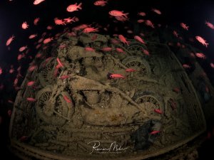 BSA-Motorräder im Laderaum des Wracks der SS Thistlegorm im Roten Meer. Rote Soldatenfische schwimmen zwischen der Ladung.