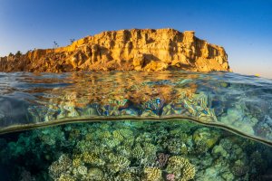 Halbtauchaufnahme: Über Wasser die golden beleuchteten Felsenklippen der Wüstenküste, unter Wasser ein farbenfrohes Korallenriff.