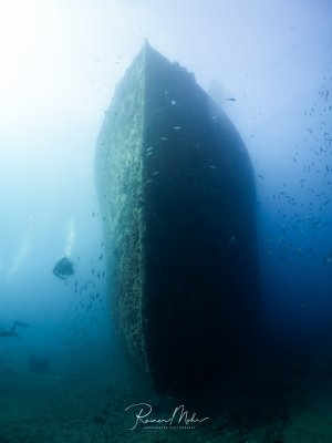 Der mächtige Bug der SS Turkia ragt aus dem Blau empor. Ein Taucher verdeutlicht die gewaltigen Dimensionen des Wracks.