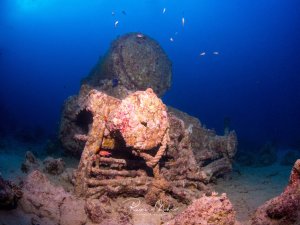 Ein versunkenes Wrack einer Lokomotive liegt auf sandigem Meeresgrund, dessen Metallstrukturen stark mit Korallen und Meeresorganismen bewachsen sind. Die rostigen Überreste sind zu einem künstlichen Riff geworden, das von verschiedenen Meereslebewesen besiedelt wird, während kleine Fische im blauen Wasser darüber schweben.