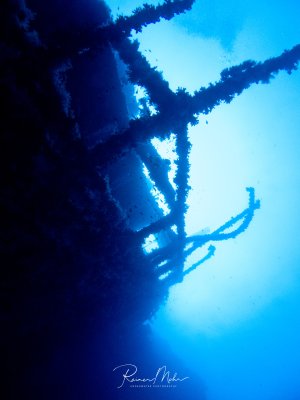 Die dramatische Silhouette eines bewachsenen Schiffswracks vor dem blauen Wasser zeigt die Aufbauten und Masten, die vollständig von Korallen und anderen Meeresorganismen überwuchert sind.
