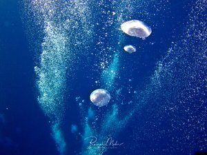 Luftblasen von Tauchern in der Tiefe bahnen sich ihren Weg an die Wasseroberfläche.