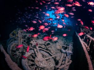 Schwarm roter Soldatenfische über den versunkenen Motorrädern im Laderaum der SS Thistlegorm, beleuchtet durch einfallende Lichtstrahlen.
