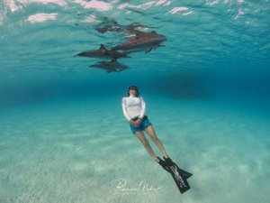 Eine Schnorchlerin schwebt im türkisfarbenen Wasser über einem sandigen Meeresboden, während über ihr eine Gruppe von Delfinen elegant durch die Wasseroberfläche gleitet. Die Szene zeigt eine friedliche Begegnung zwischen Mensch und Meeressäugern in kristallklarem, flachem Wasser.