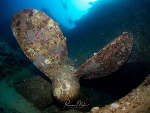 Ein großer Schiffspropeller eines Wracks liegt am Meeresgrund und ist vollständig mit marinem Bewuchs aus Korallen, Algen und anderen Organismen überzogen. Die imposante Metallstruktur hat sich zu einem künstlichen Riff entwickelt und bietet Lebensraum für verschiedene Meeresorganismen.