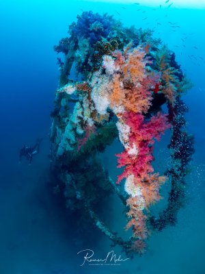 Der Mast eines versunkenen Krans im Roten Meer, vollständig bewachsen mit bunten Weichkorallen in Pink, Orange und Weiß. Ein Taucher schwebt neben dem Wrack, ein Schwarm kleiner Fische umgibt die Struktur.