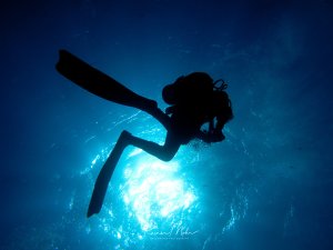 Ein Taucher schwebt als Silhouette vor der strahlend hellen Wasseroberfläche im tiefblauen Wasser. Die Szene zeigt den klassischen Blick nach oben zur Oberfläche, wobei das Sonnenlicht dramatisch durch das Wasser bricht und den Taucher in ein beeindruckendes Schattenspiel hüllt.