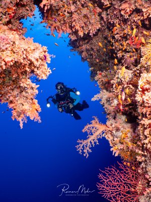 Ein Taucher mit Kamera schwebt zwischen zwei mit bunten Weichkorallen bewachsenen Felsformationen im tiefblauen Wasser.