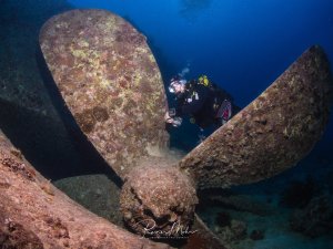 Ein Taucher erkundet denmassiven Propeller des Schiffswracks der SS Thistlegorm. Die rostigen Wrackteile sind bereits stark mit Meeresorganismen überwachsen und bilden einen künstlichen Lebensraum in der Tiefe.