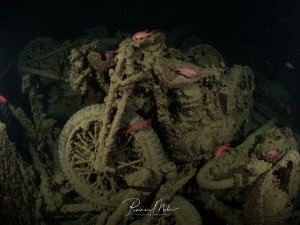 Nahaufnahme der gestapelten Motorräder im Wrack der SS Thistlegorm. Soldatenfische schwimmen zwischen den verrosteten Fahrzeugen.