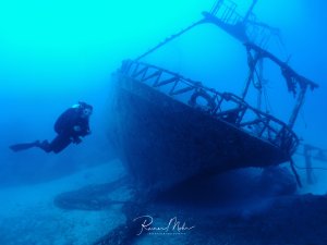 Ein Taucher erkundet ein großes Schiffswrack, das auf dem Meeresboden liegt. Das Wrack zeigt deutlich sichtbare Aufbauten und Strukturen, während der Taucher zur Größeneinschätzung dient und die imposanten Dimensionen des versunkenen Schiffes verdeutlicht.