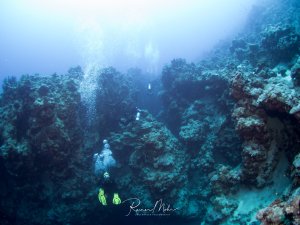 Ein Taucher mit gelben Flossen schwimmt durch eine beeindruckende Unterwasserschlucht oder Canyon zwischen massiven Korallenwänden. Die dramatische Felsformation wird von oben durch einfallendes Sonnenlicht beleuchtet, während Luftblasen vom Taucher aufsteigen.