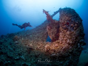 Ein Taucher erkundet ein stark bewachsenes Schiffswrack am Meeresgrund. Das Wrack ist vollständig mit bunten Korallen, Schwämmen und anderen Meeresorganismen überzogen, was zeigt, dass es bereits seit längerer Zeit als künstliches Riff dient.