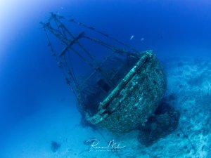 Ein stark bewachsenes Schiffswrack liegt auf dem sandigen Meeresboden in tiefem blauem Wasser. Der Schiffsrumpf und die noch erkennbaren Masten sind vollständig mit marinen Organismen überzogen, die dem Wrack eine grünlich-türkise Färbung verleihen.