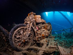 Ein mit Bewuchs überzogenes Motorrad im Laderaum der SS Thistlegorm, im Hintergrund bläuliches Licht aus den Wracköffnungen.