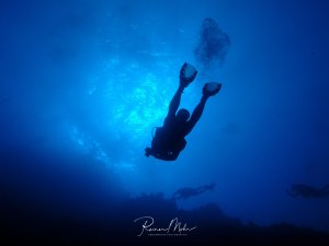 Ein Taucher schwebt als Silhouette im tiefblauen Wasser und schwimmt der Wasseroberfläche entgegen, durch die das Sonnenlicht hindurchscheint. Im Hintergrund sind weitere Taucher als verschwommene Formen zu erkennen.