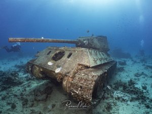 Versunkener Militärpanzer auf dem Meeresboden, umgeben von Sergeant-Major-Fischen und Rotfeuerfischen. Taucher im Hintergrund.