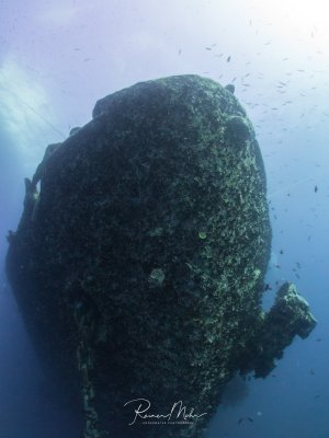 Ein imposantes Schiffswrack ragt aus der Tiefe empor, dessen Aufbauten vollständig mit Meeresorganismen bewachsen sind. Kleine Schwarmfische umkreisen das historische Wrack, das zu einem künstlichen Riff geworden ist und nun Lebensraum für diverse Meereslebewesen bietet.