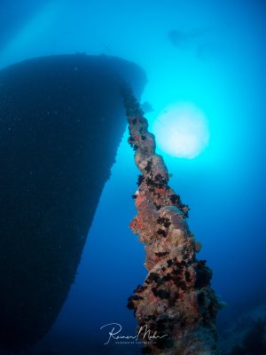 Die Ankerkette der SS Thistlegorm fällt vom Bug in die Tiefe, dicht bewachsen mit bunten Weichkorallen, Schwämmen und anderen sessilen Organismen. Die Sonne scheint durch das tiefblaue Wasser und erzeugt eine dramatische Lichtstimmung um die korallenbewachsene Schiffsstruktur.