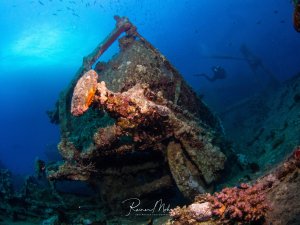 Ein Eisenbahnwaggon eines versunkenen Schiffswracks ist vollständig von marinem Leben überwachsen und zu einem künstlichen Riff geworden. Verschiedene Schwämme, Korallen und andere Meeresorganismen haben das Metall kolonisiert und verleihen dem Wrack eine lebendige, farbenfrohe Erscheinung in leuchtenden Orange-, Rosa- und Rottönen.