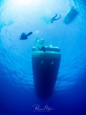 Mehrere Taucher nähern sich unterwasser ihrem Safarischiff und absolvieren ihren Sicherheitsstop.