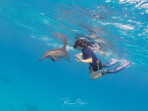 Eine Schnorchlerin schwimmt neben einem Spinnerdelfin (Stenella longirostris) im türkisblauen Flachwasser. Die Begegnung zwischen Mensch und Delfin strahlt Harmonie aus.